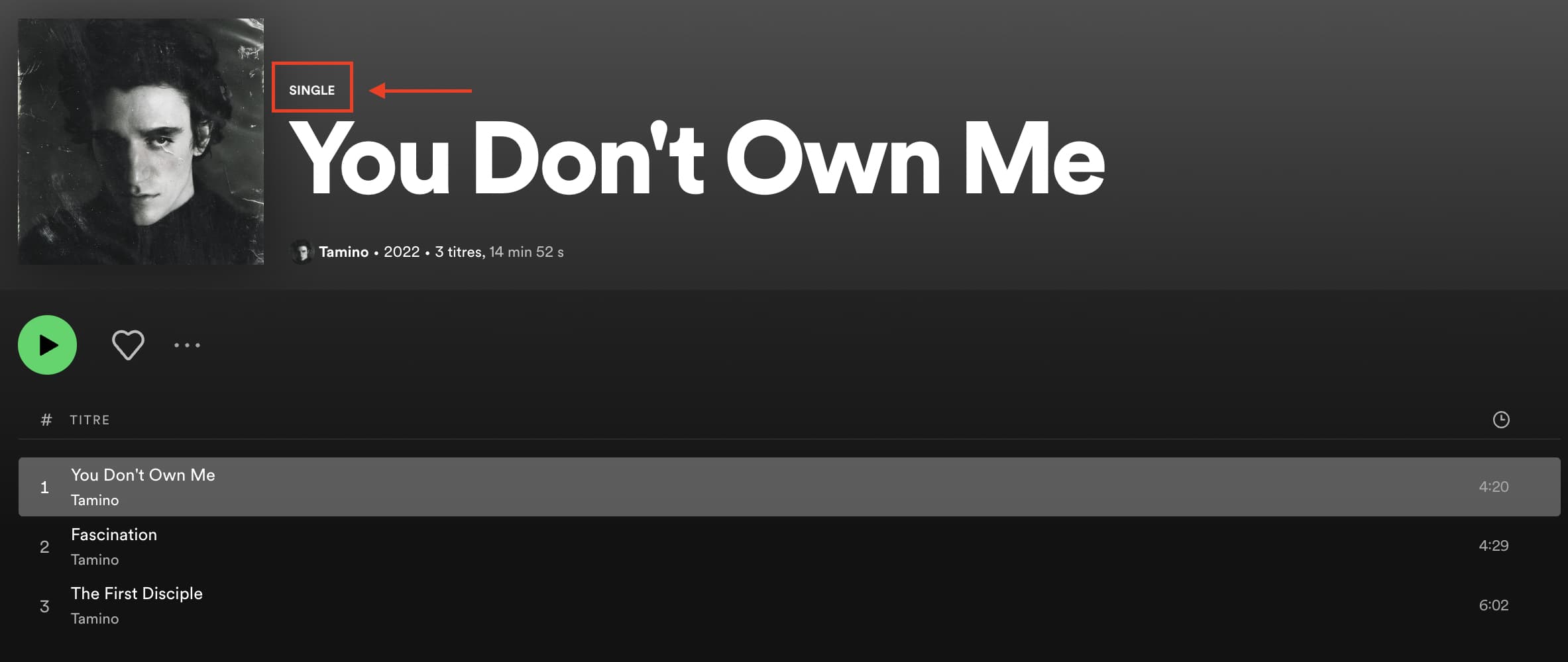 Qu'est-ce qu'un single ? Les trois singles de Tamino "You Don't Own Me" sortis avant son deuxième album "Sahar"