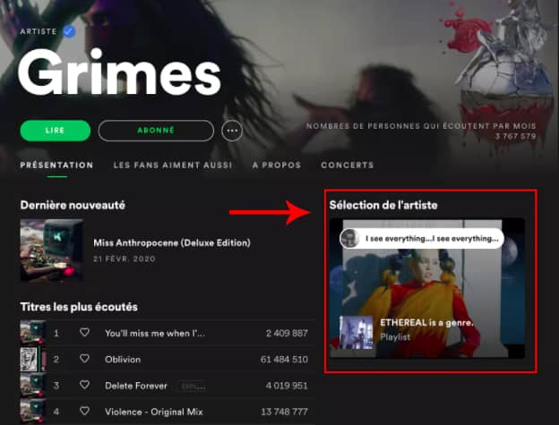 "La sélection de l'artiste" sur Spotify, l'exemple de Grimes