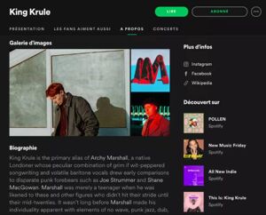 Interface page artiste Spotify, l'exemple de King Krule