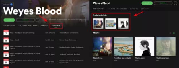 Mettre en avant ses dates de concerts et son merchandising sur Spotify, l'exemple de Weyes Blood