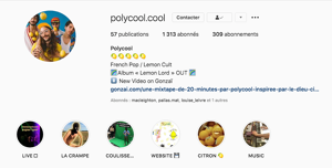 Exemple de profil Instagram - Polycool