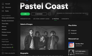 Exemples de playlists Spotify dans lesquelles sont apparus Pastel Coast
