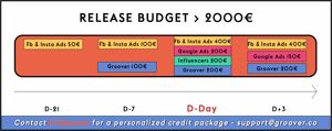 Music promotion >2000€ release budget - Facebook Ads, Google Ads, Groover, Influencers