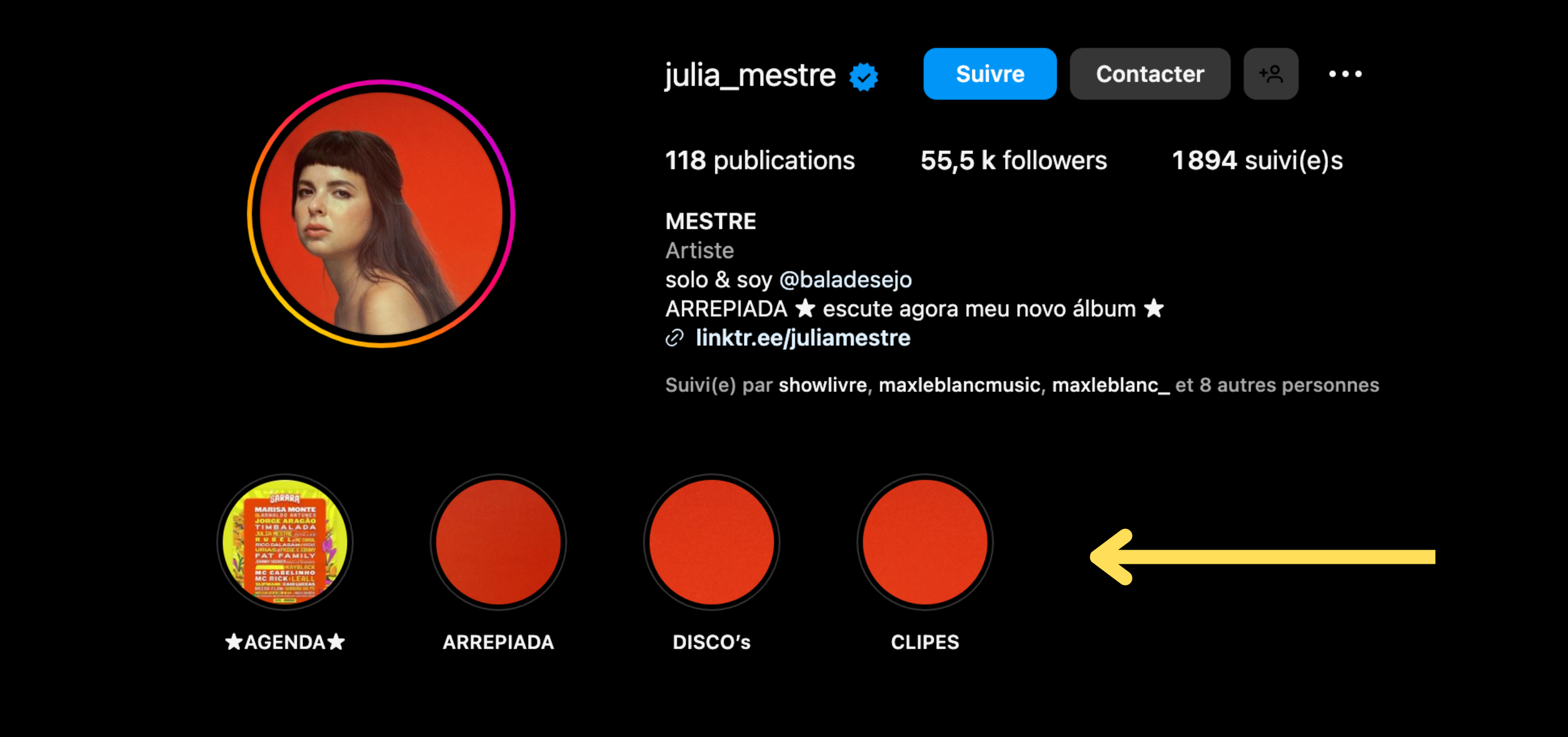 Criar destaques no seu Instagram é essencial para cativar a atenção dos seus seguidores - Instagram da artista carioca Julia Mestre