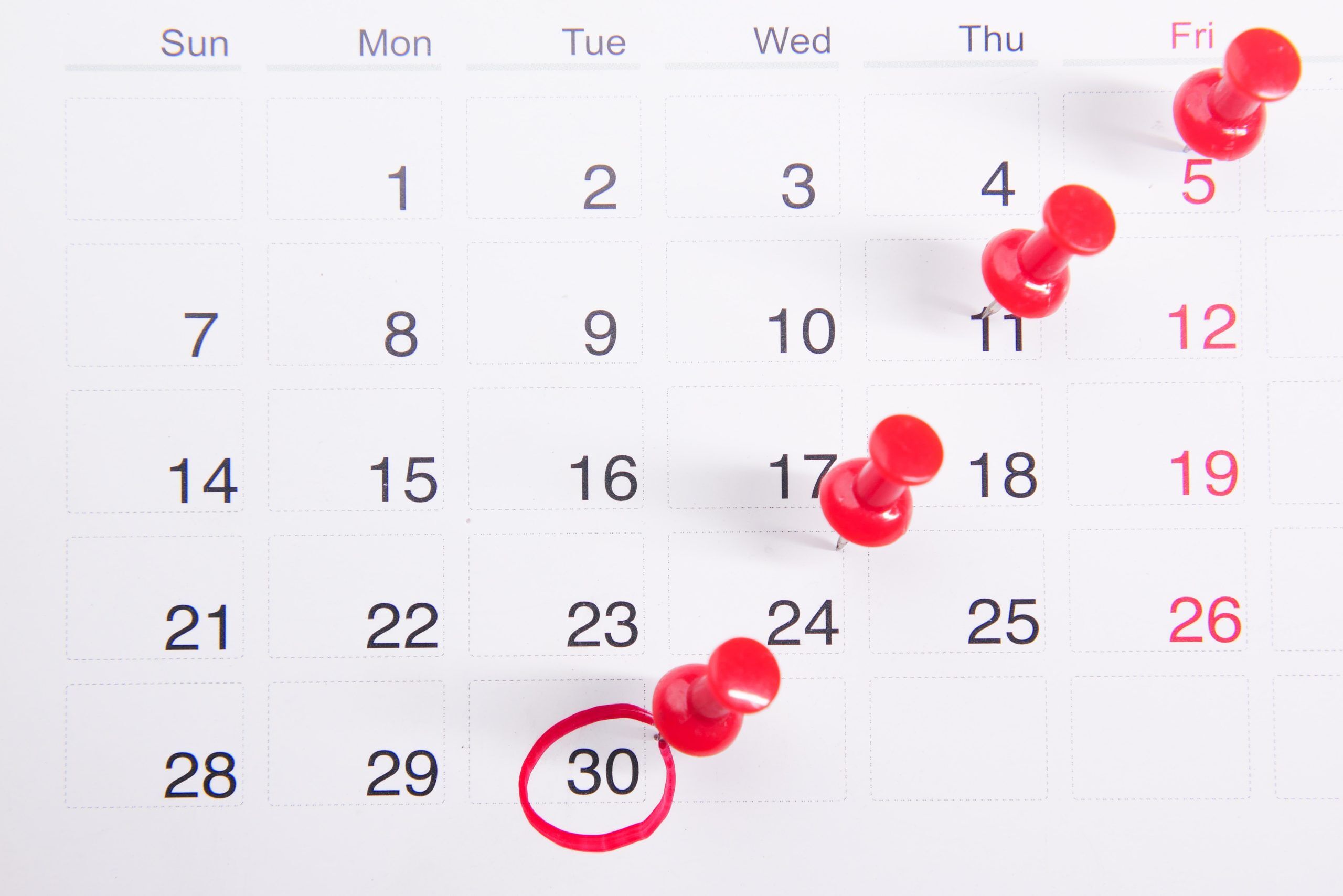 Criar um calendário para o seu conteúdo te ajuda na organização e visualização do seu planejamento