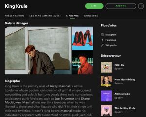 Página del artista King Krule en Spotify