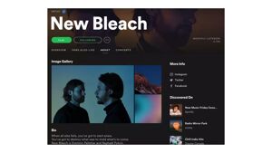Esempi di playlist Spotify in cui è apparso New Bleach