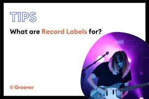 What are Record Labels for?