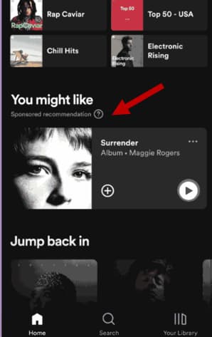 Esempio di come si presenta la vetrina di Spotify